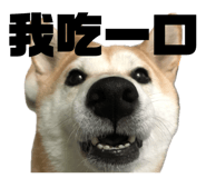 871892519