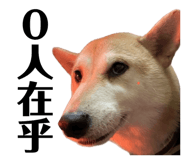 871892525