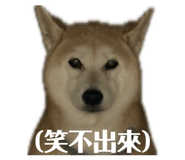 871892528
