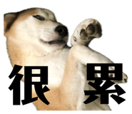871892530