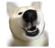871892538