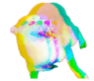 871892540