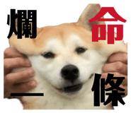 871892544