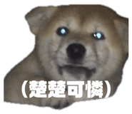 871892547