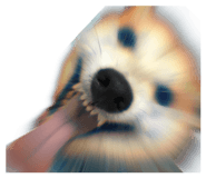 871892548