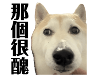871892551