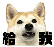871892552