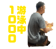 871938006
