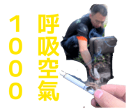 871938008