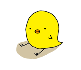 8719554