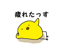 8719562