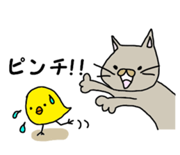 8719567