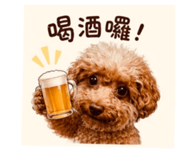 871978637