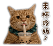 871979298