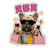 872019120