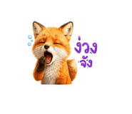 872023650