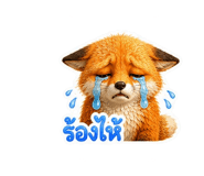872023668