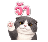872129889