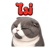 872129895