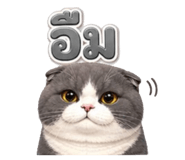 872129899