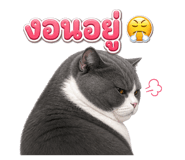 872129910