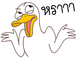 8721632