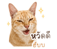 872193315