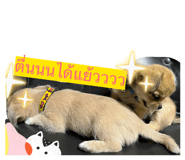 872222862