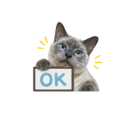 872224896