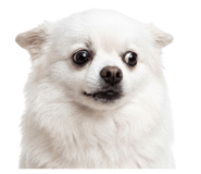 872238386