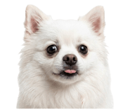 872238391