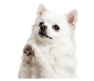 872238394