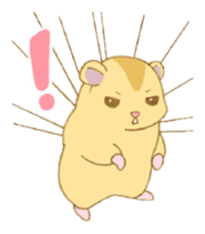 872244