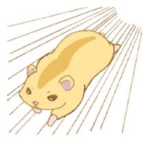 872261