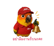 872265850