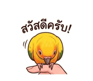 872265862