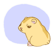 872277
