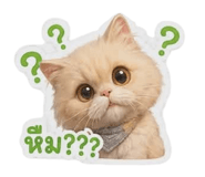 872280343