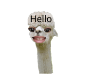 872320825