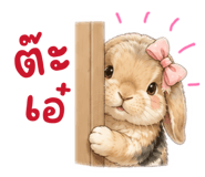 872326234