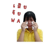 872400278