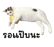 872412152