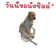872432913