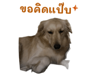 872432915
