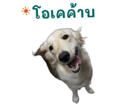 872432918