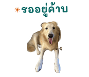 872432922