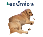 872432924