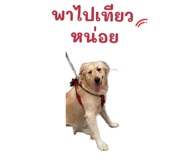 872432925