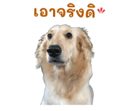 872432930