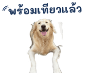 872432931